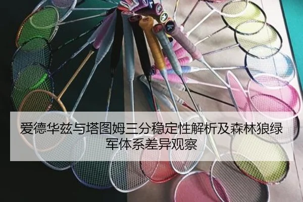 爱德华兹与塔图姆三分稳定性解析及森林狼绿军体系差异观察
